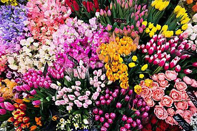 EA《大学橄榄球25》实机玩法视频展示游戏细节